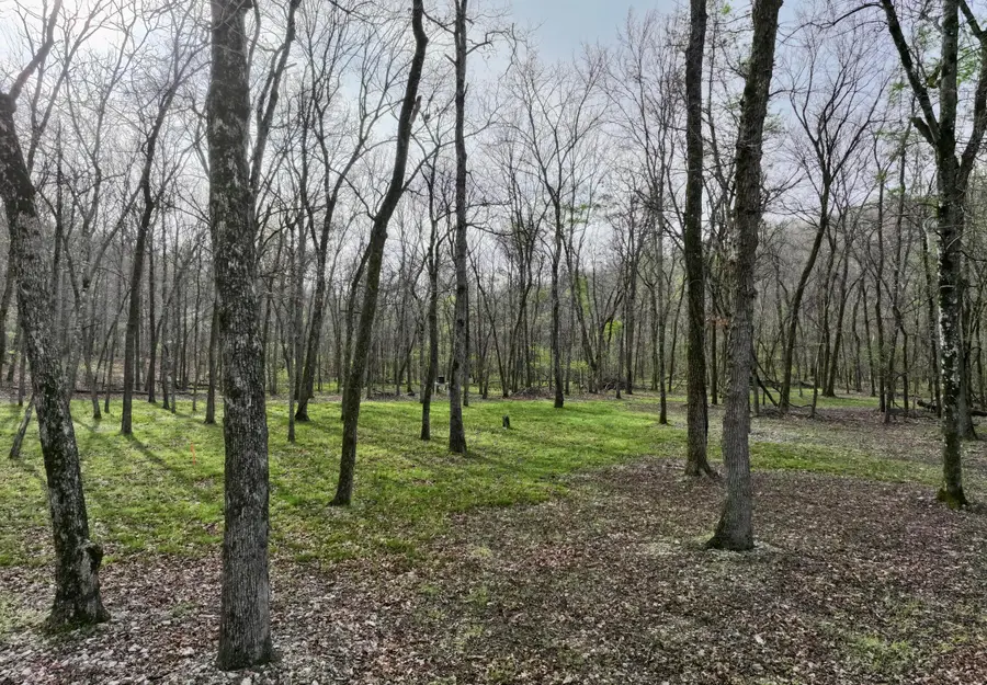 000 County Road 217, Van Buren, MO 63965 - #2