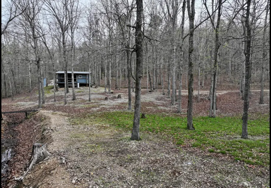 000 County Road 217, Van Buren, MO 63965 - #3