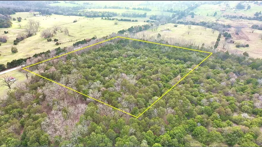 19736 State Highway E, Eagle Rock, MO 65641 - #3