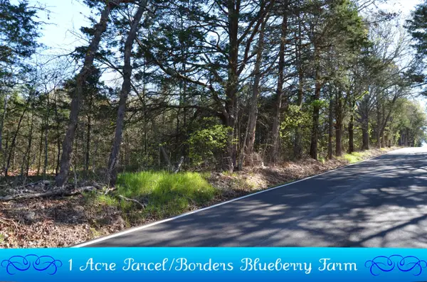 000 Persimmon Hill Lane, Lampe, MO 65681