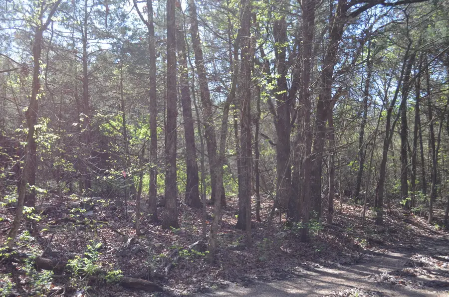 000 Persimmon Hill Lane, Lampe, MO 65681 - #3