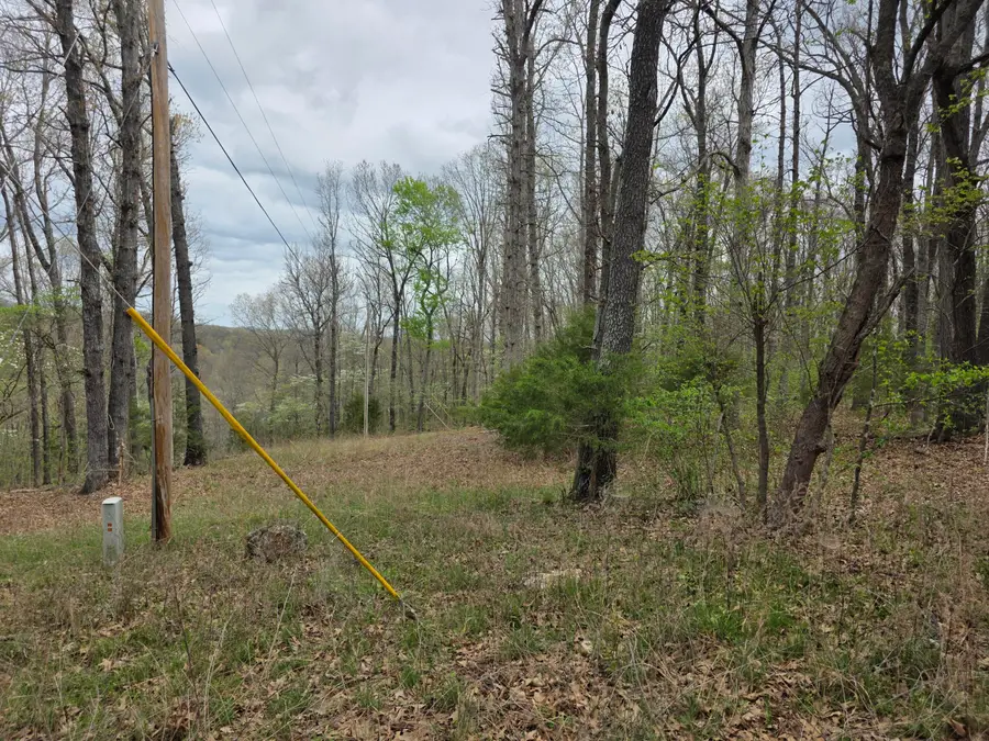 000 Farm Road 2280, Golden, MO 65658 - #3