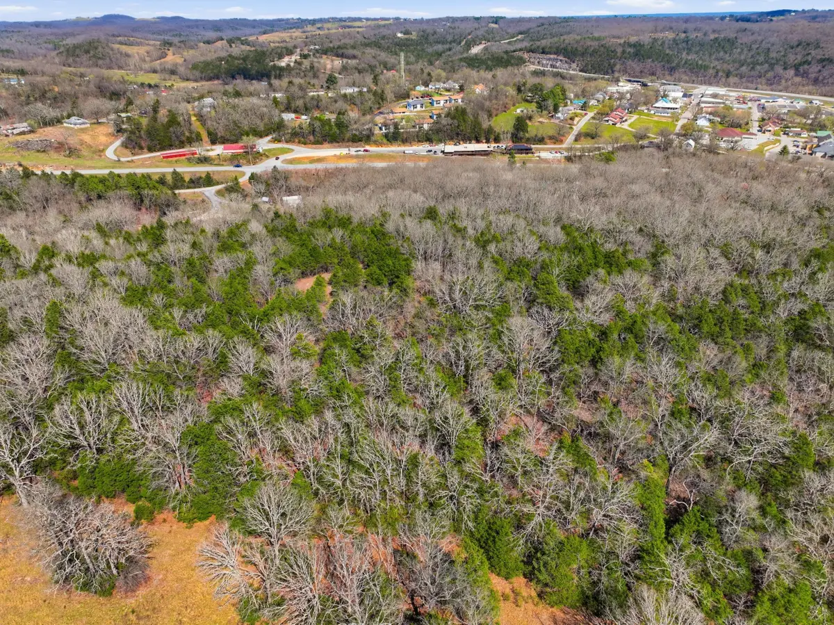 Lot 1 Mm Highway, Gainesville, MO 65655 - #1