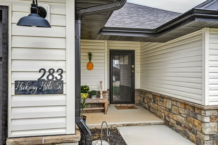 283 Hickory Hills Street, Rogersville, MO 65742 - #3