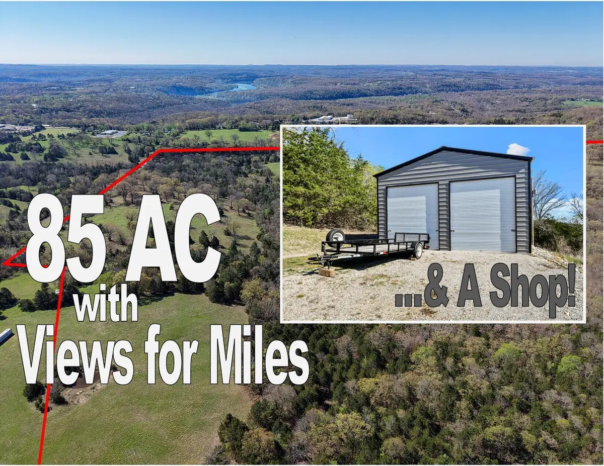 685 Ingenthron Lane, Forsyth, MO 65653 - #1