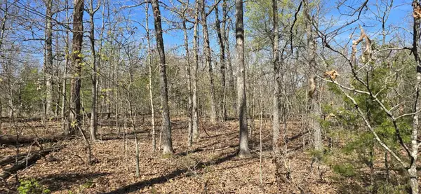 000 Timber Road, Tunas, MO 65764