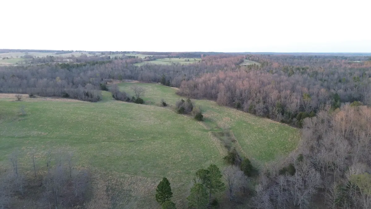 Tract #3 County Road Ww-a, Summersville, MO 65571 - #1