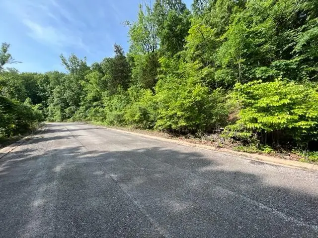 Lot 29 Hill Haven Road, Hollister, MO 65672 - #2