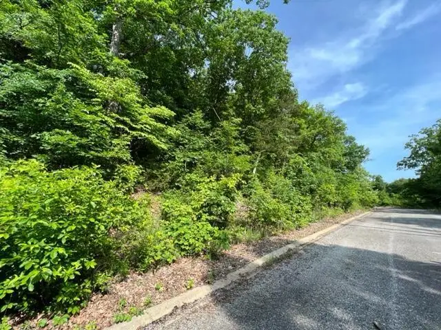 Lot 29 Hill Haven Road, Hollister, MO 65672 - #3