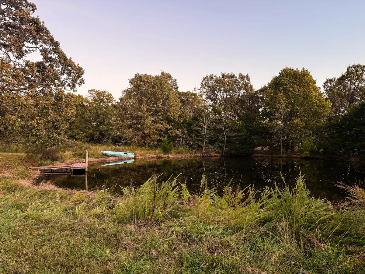 Tract 2 Webster County Line Road, Conway, MO 65632 - #1