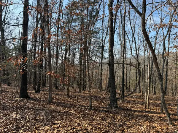 Lot 112 Walnut Springs Drive, Cape Fair, MO 65624