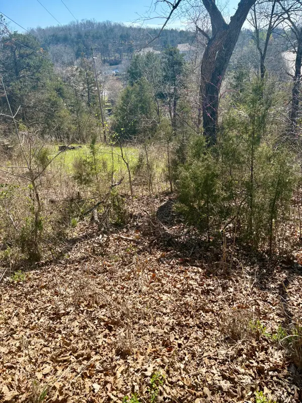 180 Green Briar Drive, Branson, MO 65616