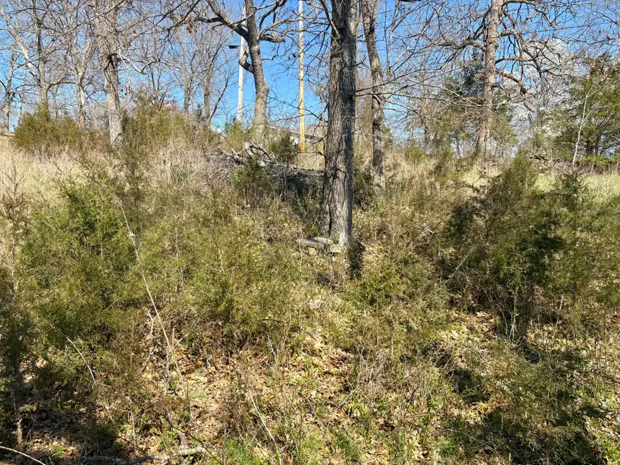 180 Green Briar Drive, Branson, MO 65616 - #3