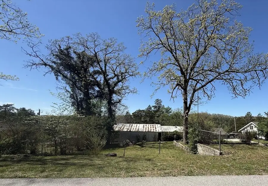 132 St Joseph Street, Forsyth, MO 65653 - #3