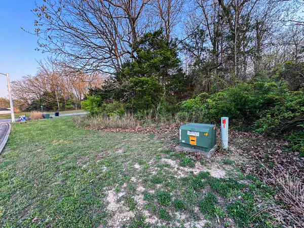 635 S Magen Street, Fair Grove, MO 65648