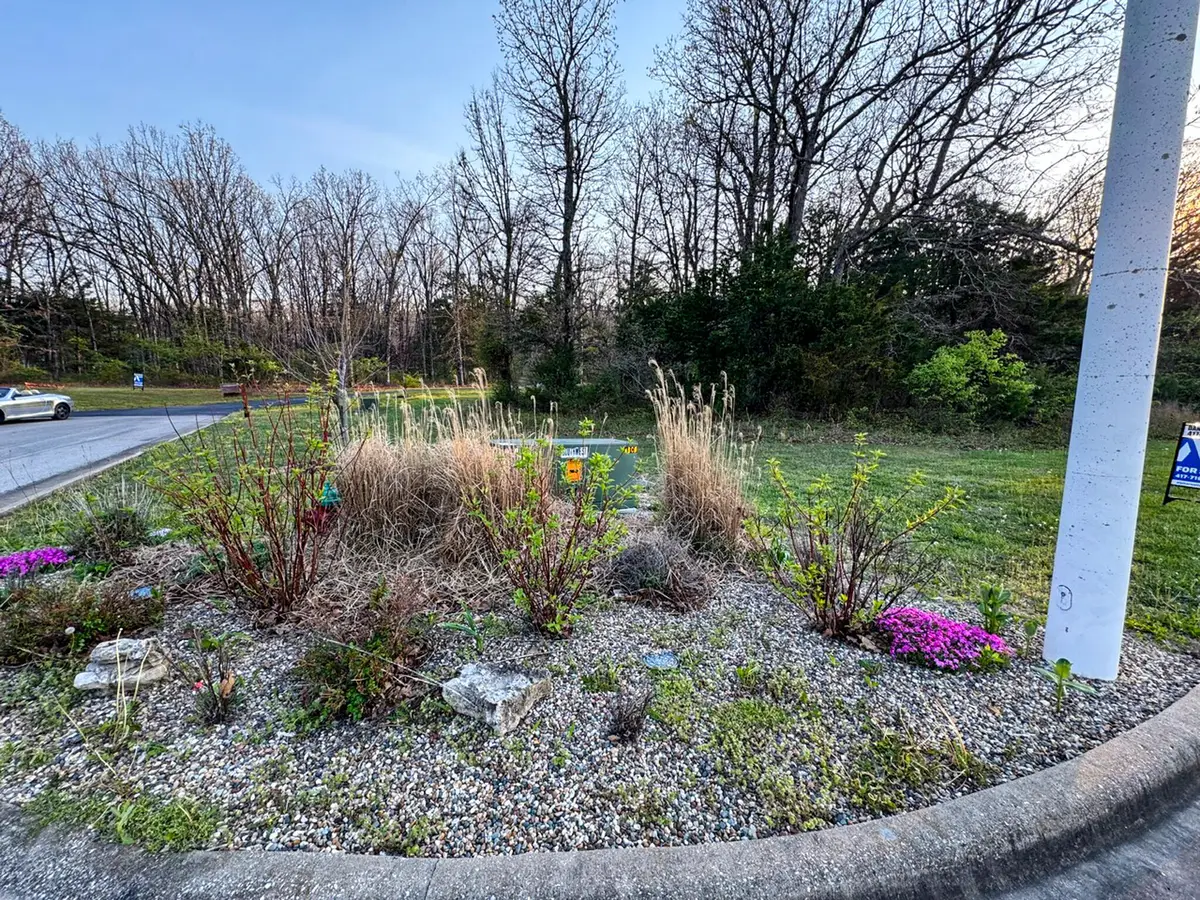 641 S Caden Place, Fair Grove, MO 65648 - #1