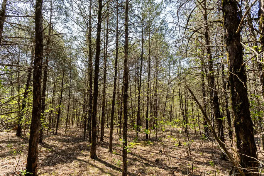 000 Protem Cedar Creek Road, Protem, MO 65733 - #2