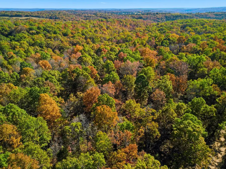 000 County Road 517 #1, Hardenville, MO 65666 - #3