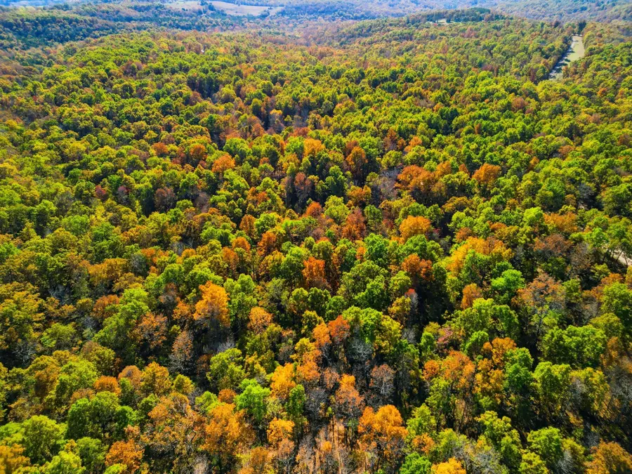 000 County Road 517 #2, Hardenville, MO 65666 - #2