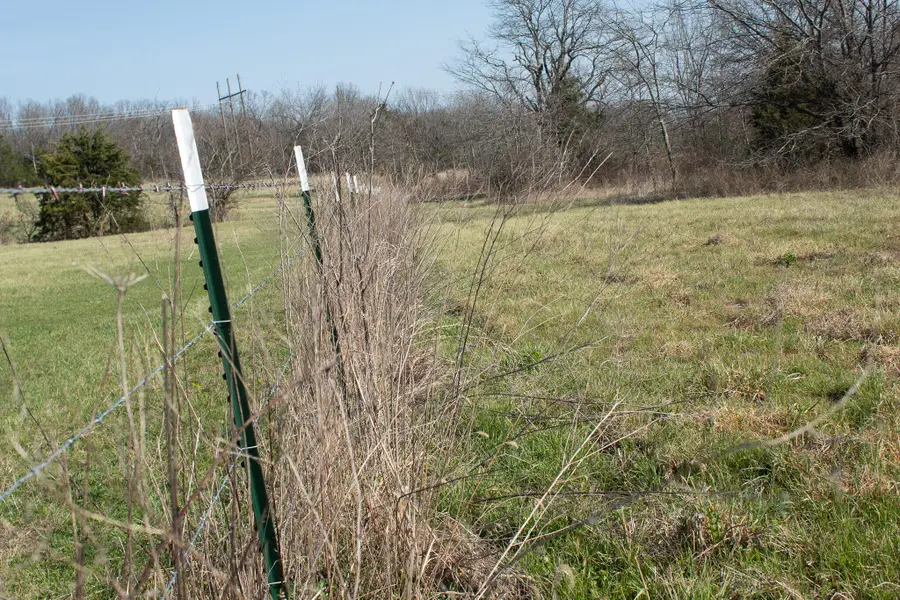 000 Sapphire Drive, Richland, MO 65556 - #2