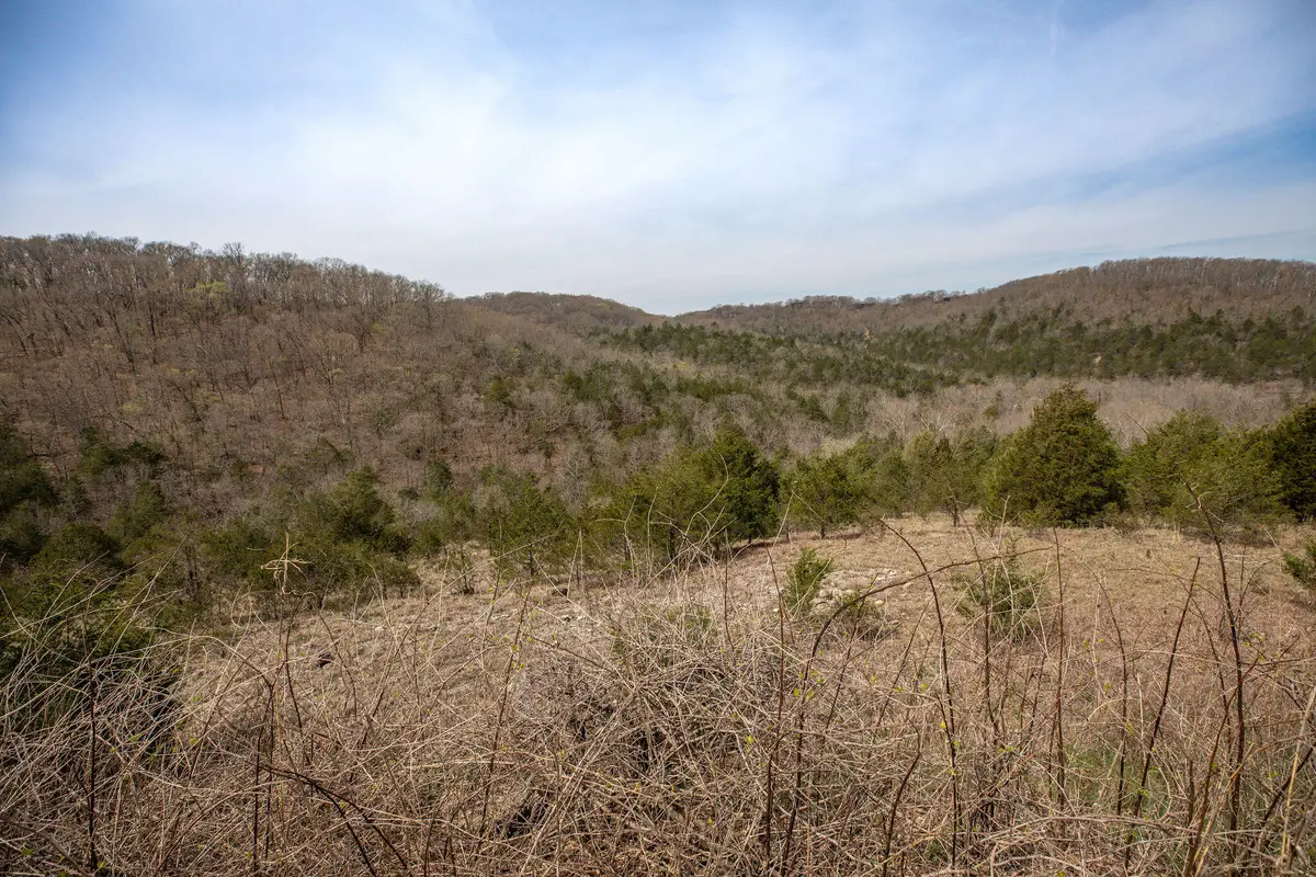 Lot 8 Silver Oak Place, Branson West, MO 65737 - #1