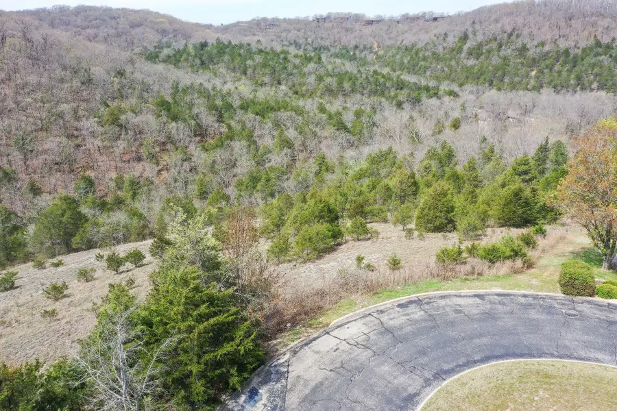 Lot 8 Silver Oak Place, Branson West, MO 65737 - #2
