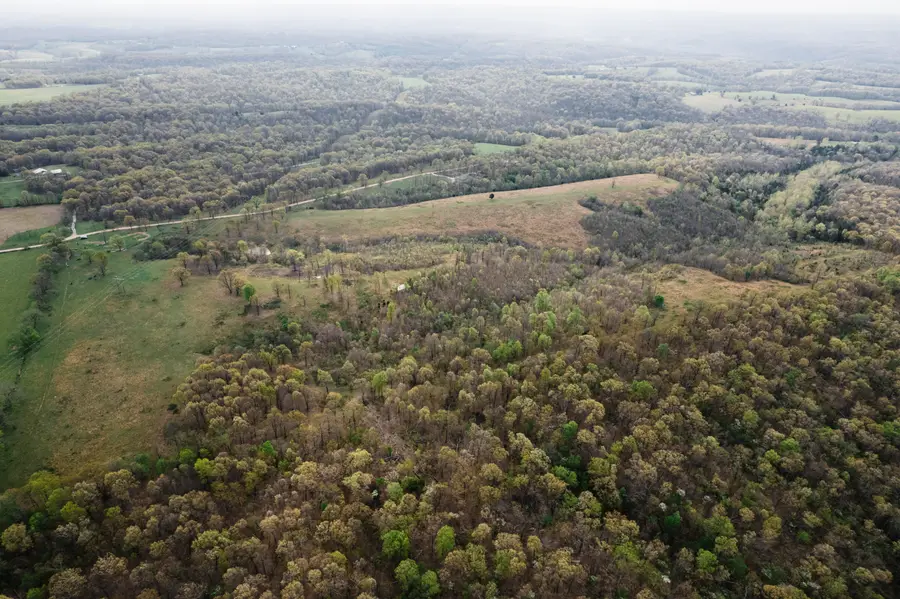 Tbd Buckeye Lane, Stella, MO 64867 - #3