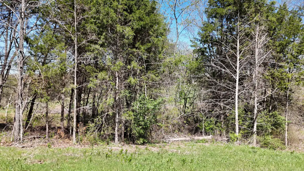 Lot #17 Farm Road 2262, Golden, MO 65658 - #1