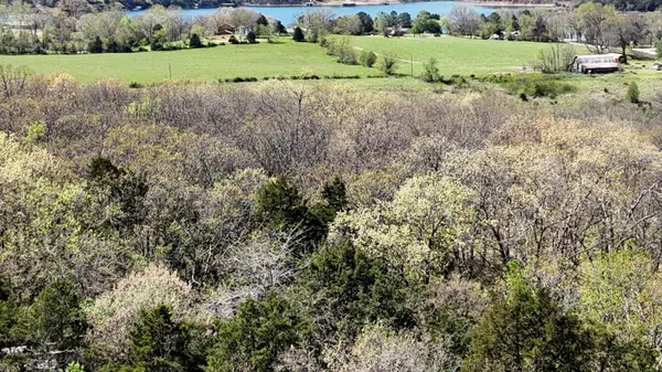 Lot #34 Coral Fountains, Golden, MO 65658