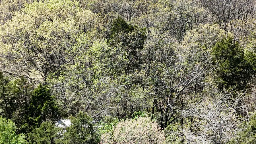 Lot #34 Coral Fountains, Golden, MO 65658 - #3