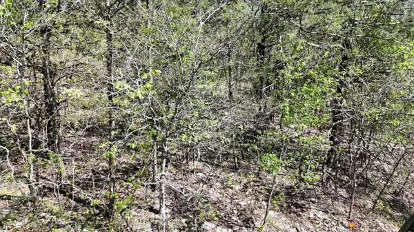 Lot #20 Oak Lane, Shell Knob, MO 65747