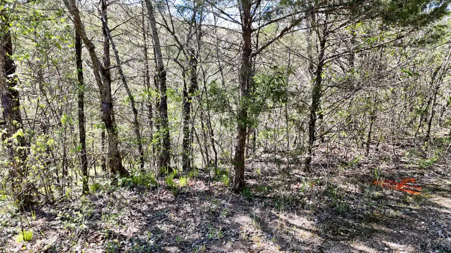 Lot #46 Gumbo Woods, Shell Knob, MO 65747 - #3