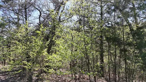 Lot #94 Gumbo Woods, Shell Knob, MO 65747
