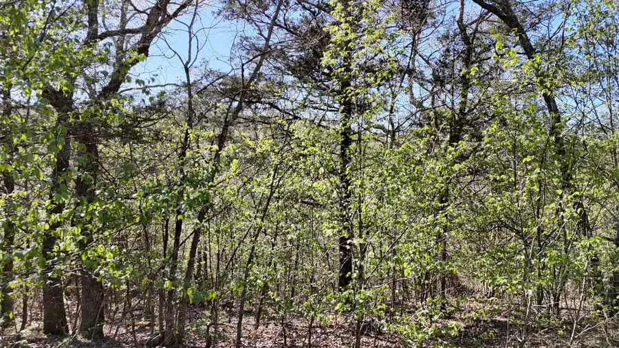 Lot #94 Gumbo Woods, Shell Knob, MO 65747 - #2