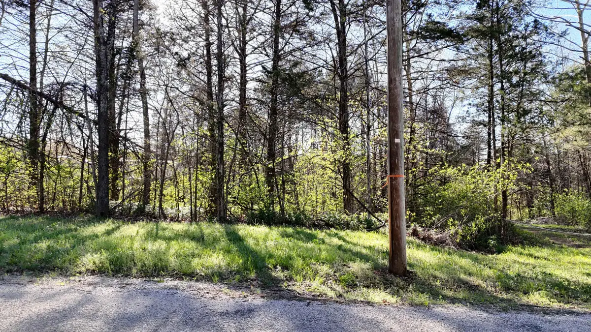 Lot #31 Farm Road 1260, Shell Knob, MO 65747 - #1