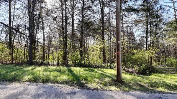 Lot #31 Farm Road 1260, Shell Knob, MO 65747