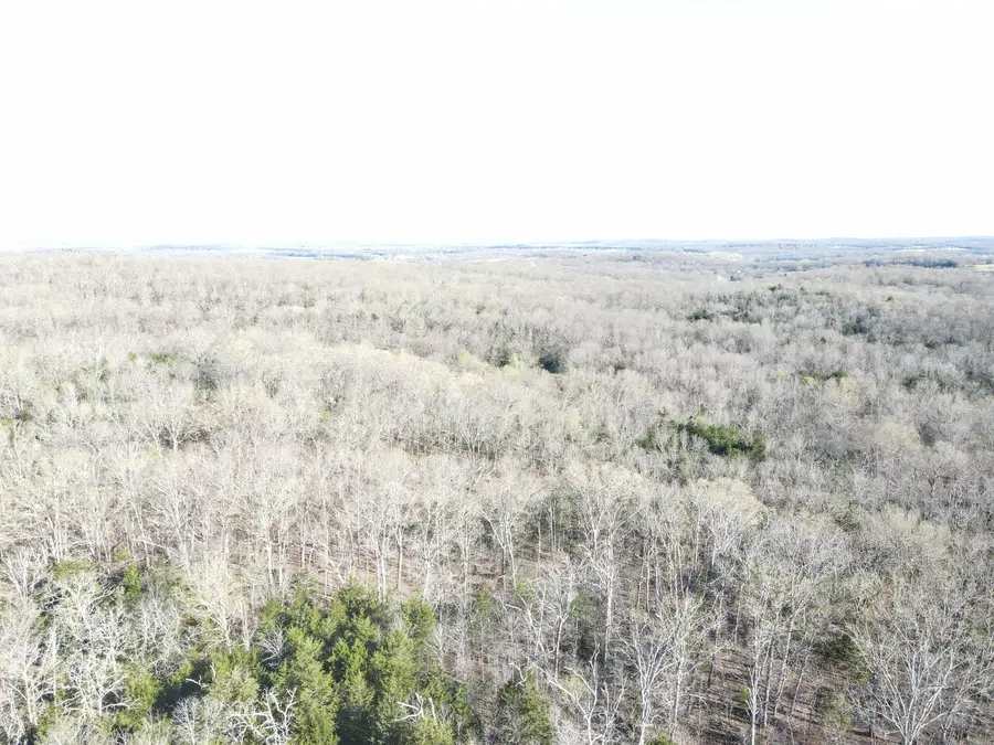 2mi SE Of W Highway & E & W Of, Stockton, MO 65785 - #3