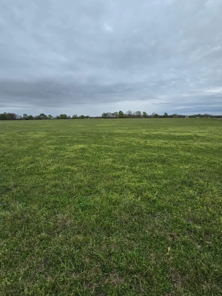 000 Adams Lane, Rogersville, MO 65742 - #3