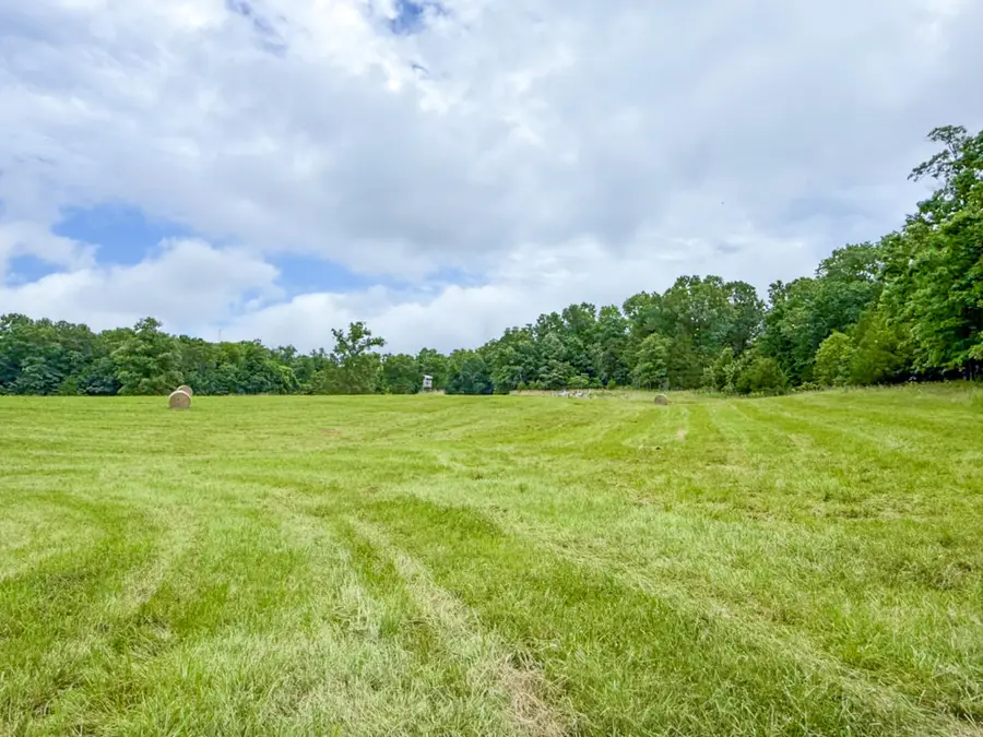 5748 County Road 3850, Peace Valley, MO 65788 - #2