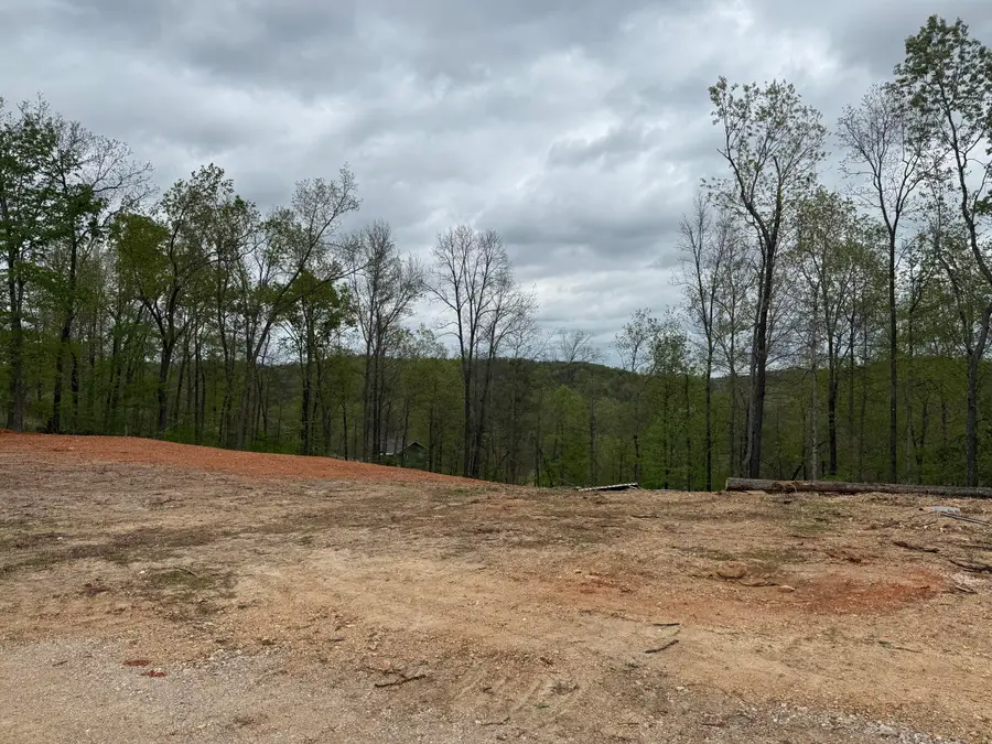 1969 Payton Place Drive, Van Buren, MO 63965 - #2