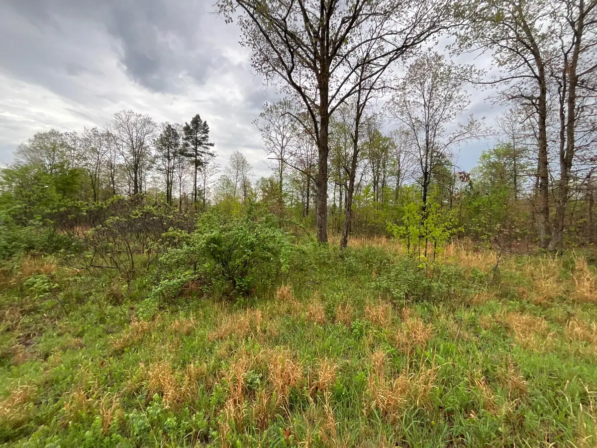 Lot 9 Lake Way, Winona, MO 65588 - #1