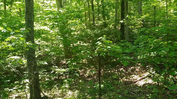 Lot 9 Lake Way, Winona, MO 65588