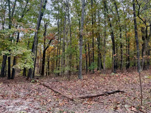 000 Spout Spring Road, Fordland, MO 65652