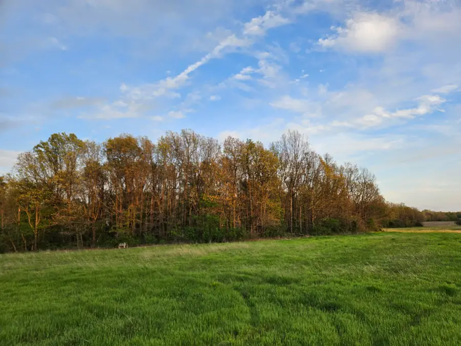 000 Lawrence 2210 #Lot 7, Monett, MO 65708 - #2