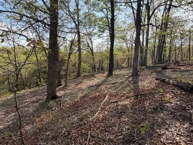 Tbd W Farm Road 34, Brighton, MO 65617 - #3