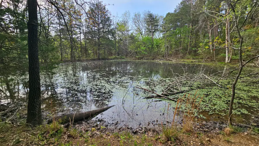 3133 State Highway W & Highway 14, Dora, MO 65637 - #2