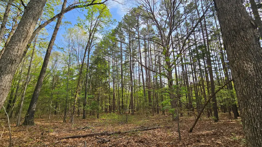 3133 State Highway W & Highway 14, Dora, MO 65637 - #3