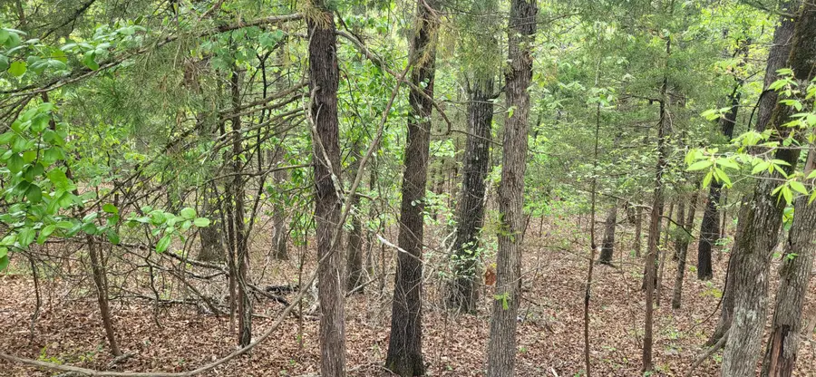 000 Cedar Lane, Rockaway Beach, MO 65740 - #2