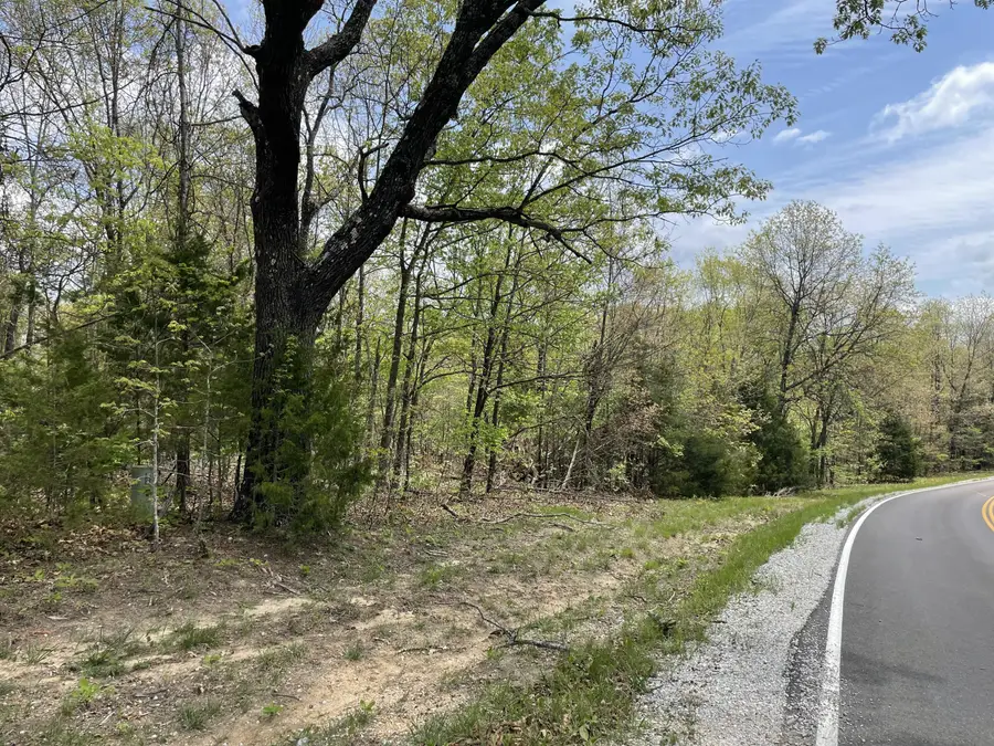 000 State Hwy N, Tract H, Ava, MO 65608 - #3