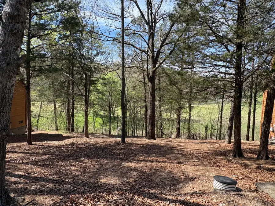 412 Baldknobber Drive, Branson West, MO 65737 - #2